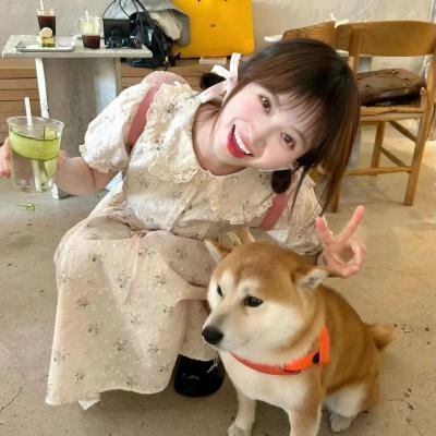 小姐姐请回答